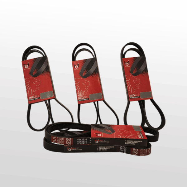 Automotive Belt  MIG 5PK1250 - Image 2